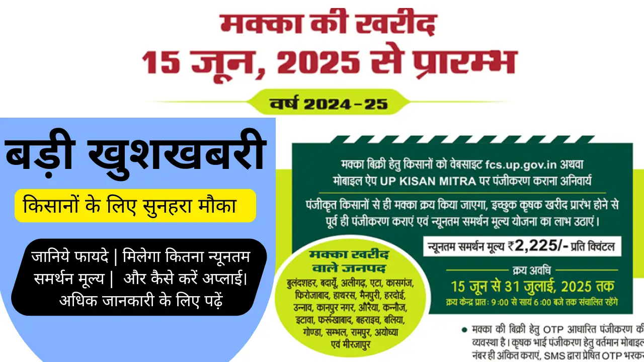 Makka Kharid Scheme मक्का की खरीद 15 जून से शुरू जानिए कितना है समर्थन मूल्य, अवधि एवं कौन से हैं जनपद