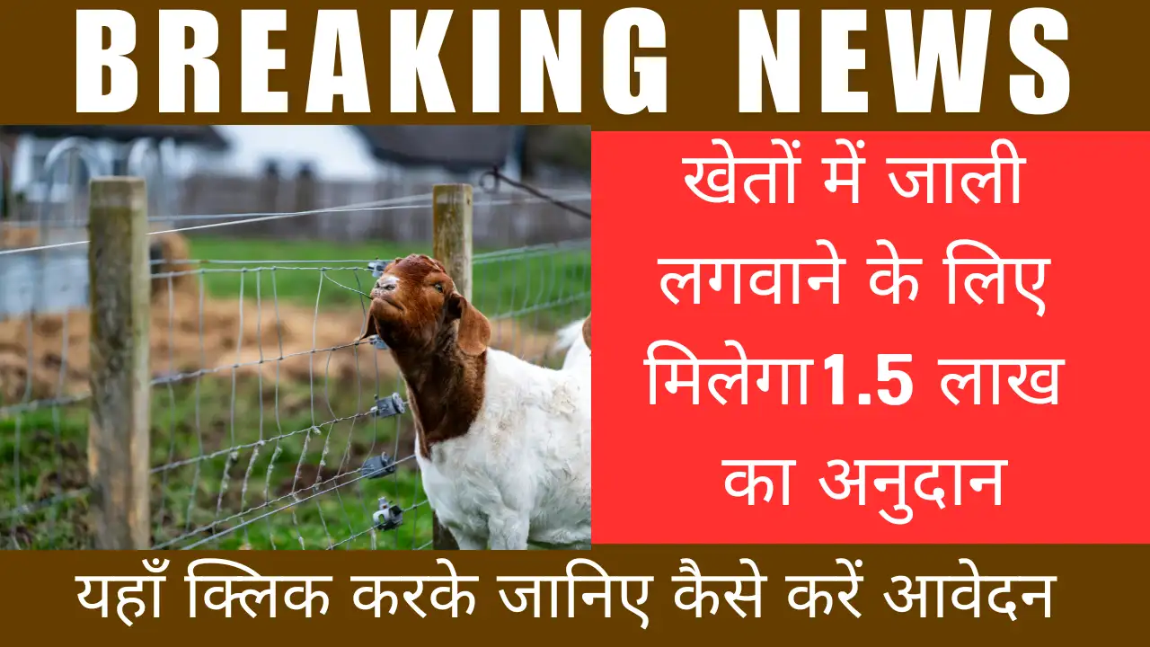 मध्य प्रदेश के किसानों के लिए बहुत बड़ी खुशखबरी: खेत में जाली लगाने पर सरकार देगी डेढ़ लाख रुपये का अनुदान, आवेदन शुरू!